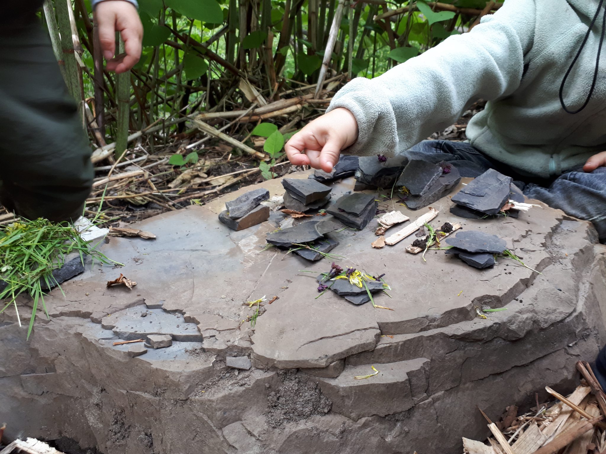 Projet Saules Au Delà Des écrans Léducation Par La Nature Unité